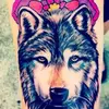 DANIEL&CRYSTALHONEYCUTT - @danielcrystalhoneycutt - TikTok