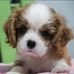 Danny Hoo - Facebook