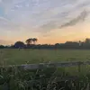 dan.hooks - @daniel_hooks - TikTok