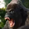 sigma - @danehord - TikTok