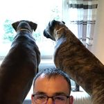 Daniel Hormann - @dan15hor - Instagram