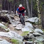 Dan Horn - @dan.horn.52 - Instagram