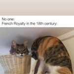 dan. hornik - @dan._hornik - Instagram