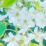 Danhorn Event Planning - @danhorn_event_planning - Instagram