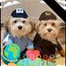 Dan Horning - Facebook