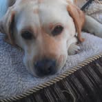 Dan Horsch - Facebook