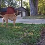 Dan Hoss - @hostetler939 - Instagram