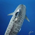 Dan Houck - @danhouck31 - Instagram