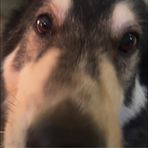 Dan House - Facebook