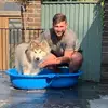 Dan House - @danhouse05 - TikTok