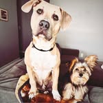 Dan Hovekamp - @hovekampdan - Instagram