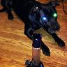 Dan Howe - @danduhfnman - TikTok