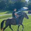 Daniel Howerton - @danielhowerton - TikTok