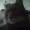 Danya Huckins - @danyahuckins - TikTok