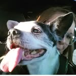 Candace Hufford - @cantdancehufford - Instagram