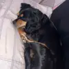 Dan Huggins770 - @danhuggins770 - TikTok