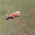 Park Hill Farm Longhorns-Dan Huggins - Facebook