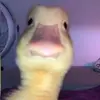 Dany - @.danhuh - TikTok