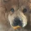 DanH - @dan.humbles - TikTok