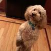dan - @dan.hunt - TikTok
