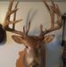 Dan Hupp - Facebook