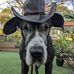 Dan Hurst - Facebook