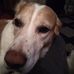Dan Hutch - Facebook