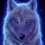 Dan_HuxleySDM - @dan_huxleysdm - Instagram