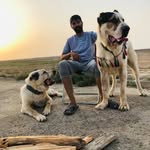 danial.ehsani - @danial.ehsani48 - Instagram
