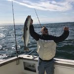 Dan Iverson - @iverson1261 - Instagram