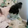 Dani Ivey - @daniivey - TikTok