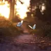 Dani veyra - @dani.veyra - TikTok