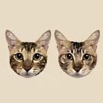 DAN&JIM - @dandanjimjim - Instagram