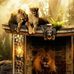 Dan Joe - Facebook