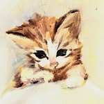 Danjoebanjoe - @danjoebanjoe - Instagram