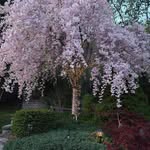 Dan Johansen - @johansen9472 - Instagram