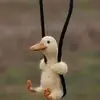 Dan Johansen - @dan.johansen7 - TikTok
