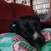 danjohnsjr - @danjohnsjr - TikTok