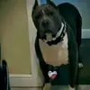 Jordan Jolicoeur - @jordanjolicoeur - TikTok