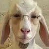 dan - @dan_jolliffe - TikTok