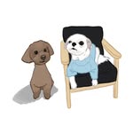 🄳🄰🄽🄹🄾🄾 & 🄼🄸🄺🄾 - @danjoo_n_miko - Instagram