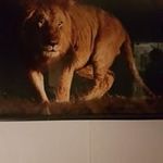 Dan Jörgensen - @dan.jorgensen.391 - Instagram