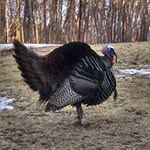 Dan Jost - @dsjost - Instagram