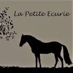 La Petite Ecurie d’Anjou - @la.petite.ecurie.danjou - Instagram