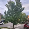 Dan.Julio - @dan.julio2 - TikTok