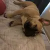 rexrgis89 - @danjulio - TikTok