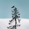 wulidannadzif - @danjune_ - TikTok