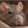 ял - @danke.junge - TikTok