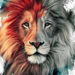 Dan Junior - @dannyboy1558 - Instagram