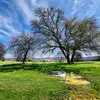 amazing Romania - @dan.jurca - TikTok